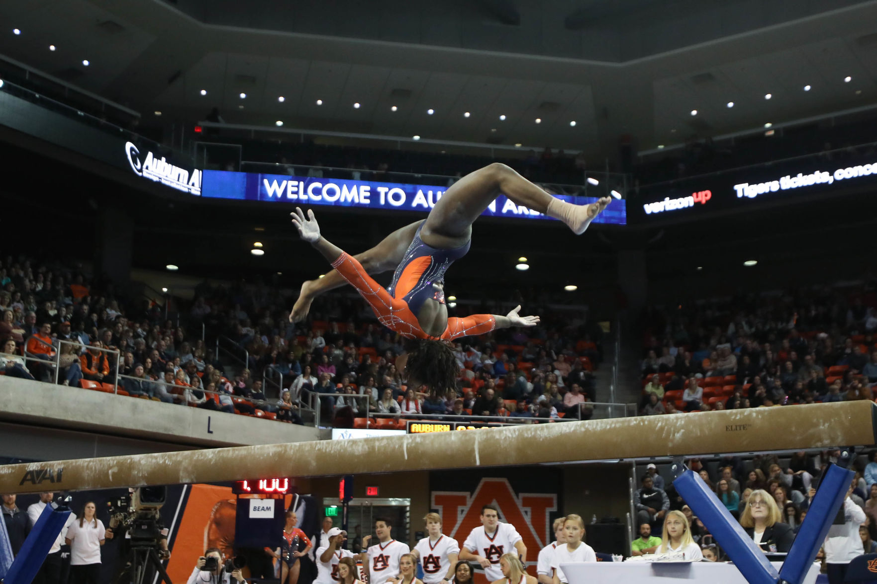 Auburn vs. Kentucky gymnastics